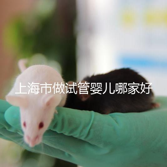 上海市做試管嬰兒哪家好？2025年權(quán)威醫(yī)院排名與成功率詳細(xì)對(duì)比