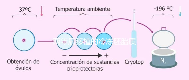 兩年后移植的冷凍胚胎質(zhì)量差會(huì)怎么樣？有效的解決方案