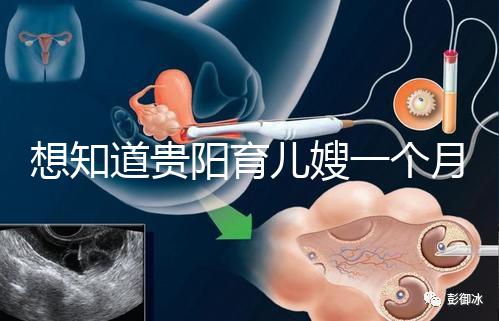 想知道貴陽育兒嫂一個月戳多少錢，云巖2萬夠不夠