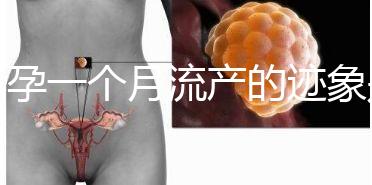 懷孕一個月流產(chǎn)的跡象是什么？