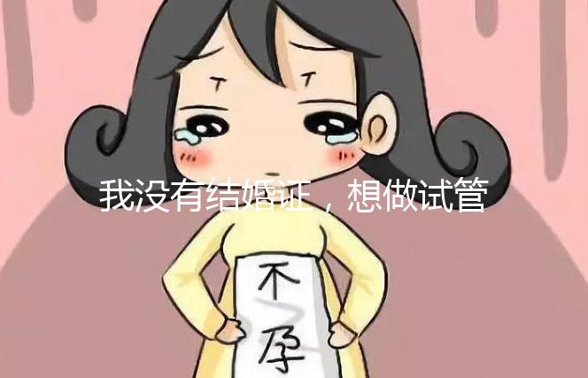 我沒有結(jié)婚證,想做試管嬰兒,可以做嗎?