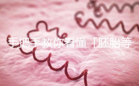 手把手教你看懂「胚胎等級(jí)報(bào)告」，不做試管嬰兒懵星人