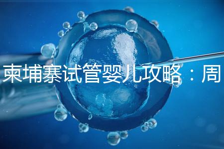 柬埔寨試管嬰兒攻略：周期和時(shí)間規(guī)劃全解析！