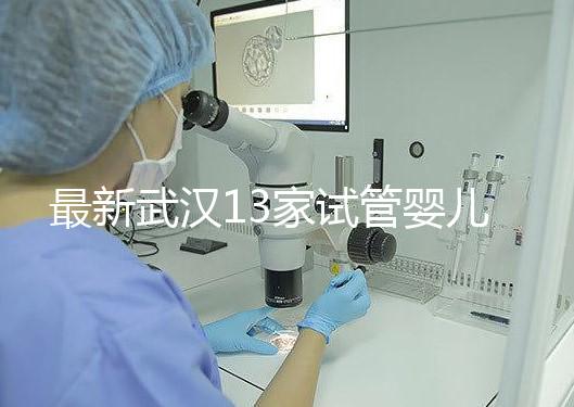 最新武漢13家試管嬰兒醫(yī)院排名、哪家成功率最高