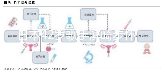 日本42歲歌手濱崎步懷二胎，孩子父親身份引猜測
