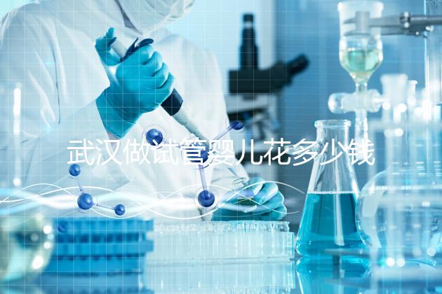 武漢做試管嬰兒花多少錢？