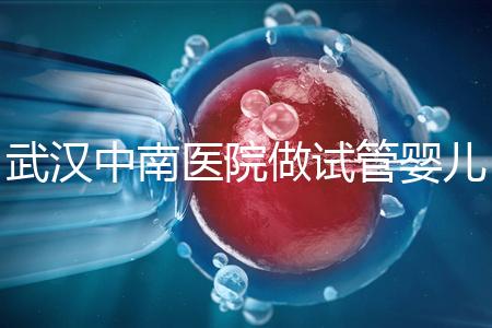 武漢中南醫院做試管嬰兒需要多少錢:2025年這些試管收費有變動