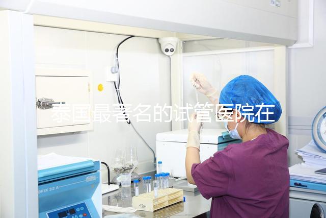 泰國最著名的試管醫院在哪里最好？推薦助孕機構名單