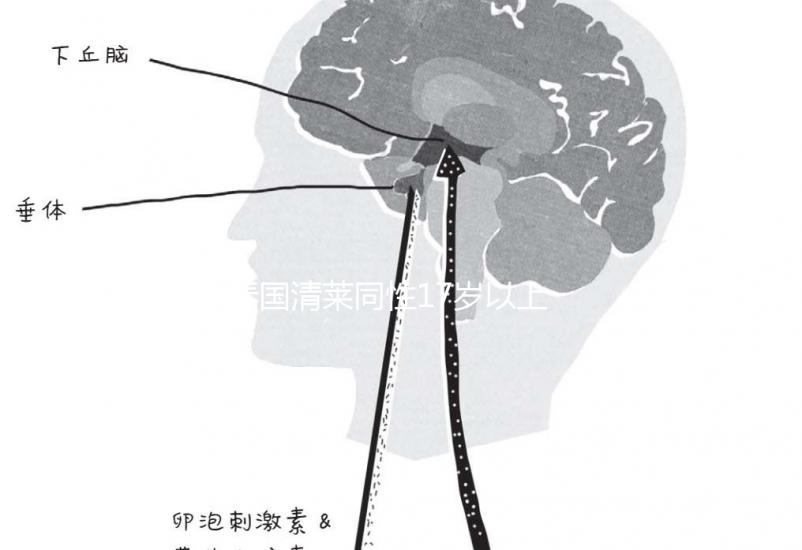 泰國清萊同性17歲以上便能結(jié)婚,在國內(nèi)承不承認(rèn)進(jìn)來看