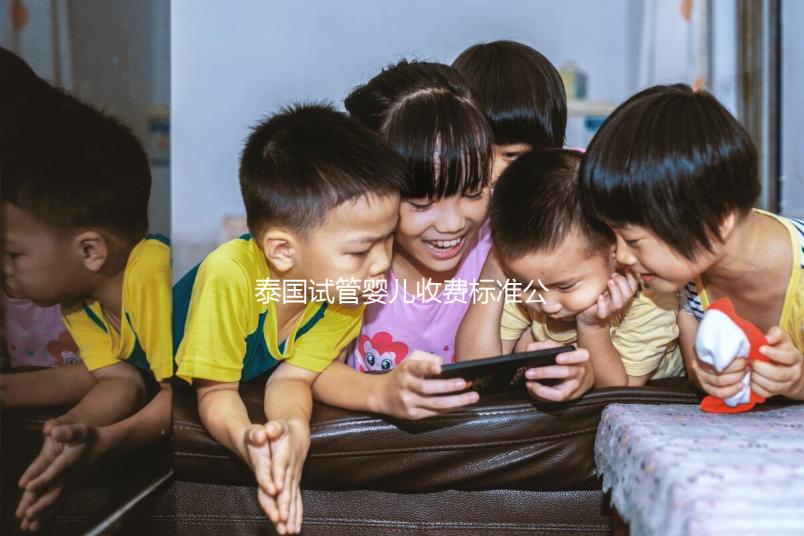 泰國試管嬰兒收費標準公布，藥品費用占大多數