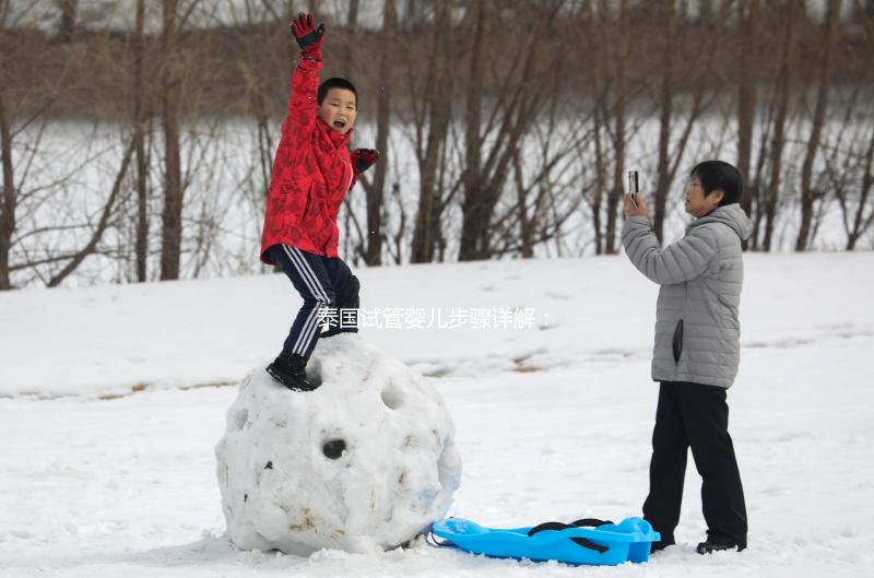 泰國(guó)試管嬰兒步驟詳解:2025年最新流程