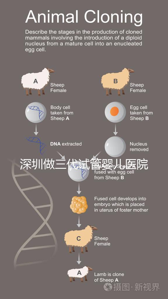 深圳做三代試管嬰兒醫院前10一覽,排名不分先后