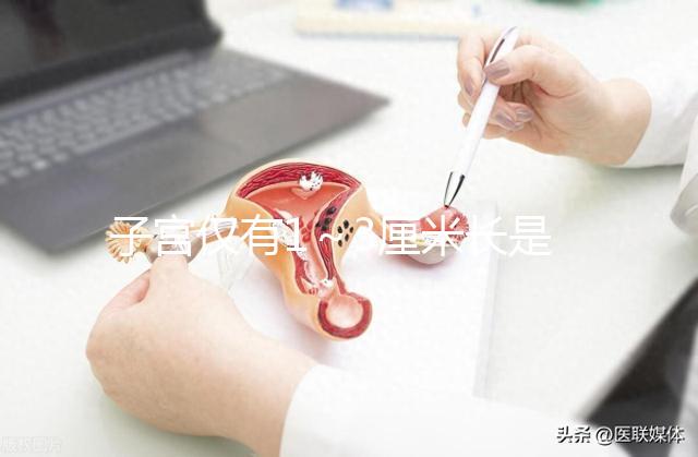 子宮僅有1～3厘米長(zhǎng)是始基子宮?細(xì)說什么是始基子宮