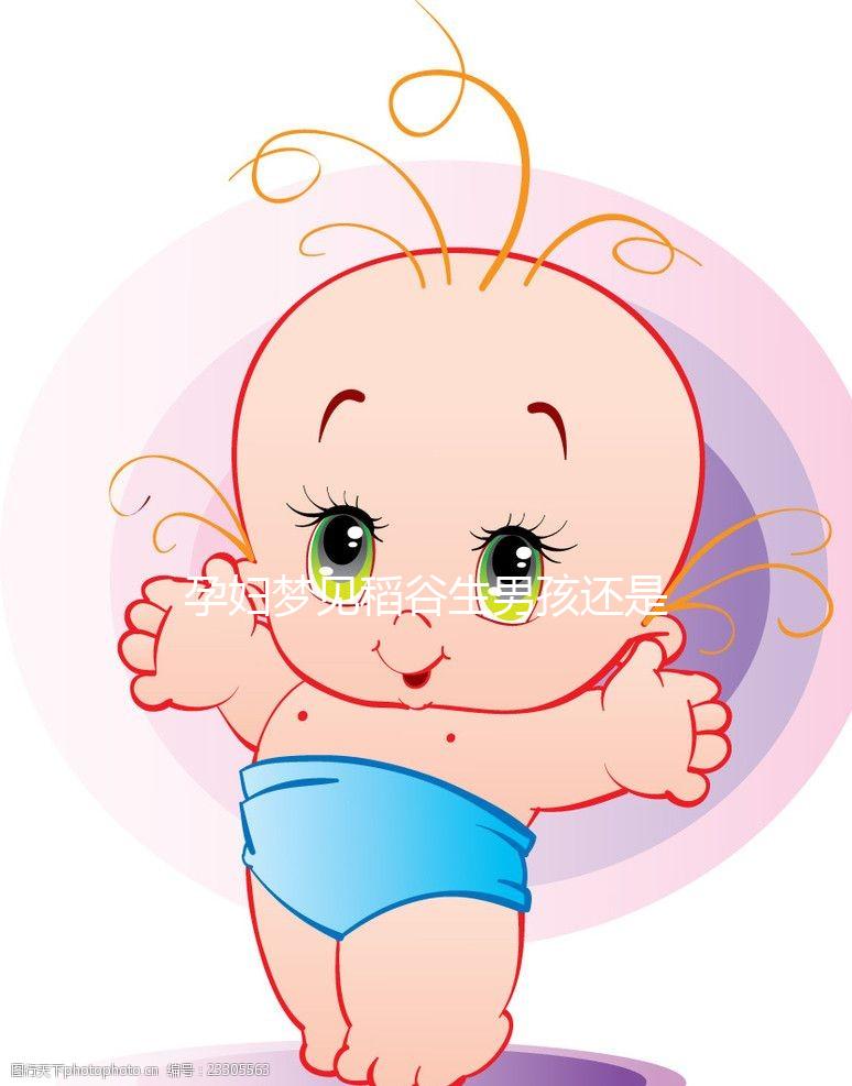 孕婦夢見稻谷生男孩還是生女孩?相關胎夢含義解讀