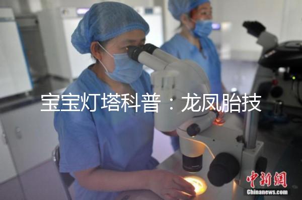 寶寶燈塔科普：龍鳳胎技術的原理和發展！