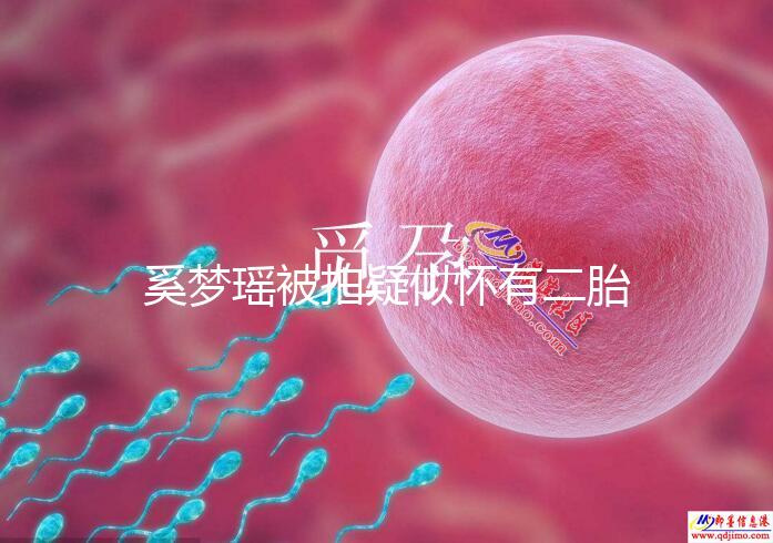 奚夢瑤被拍疑似懷有二胎,四太陪同產(chǎn)檢未見何猷君