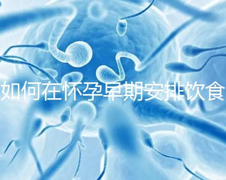 如何在懷孕早期安排飲食？