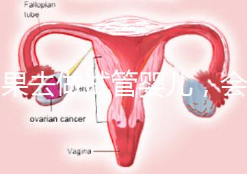 如果去做試管嬰兒,會有什么利與弊?