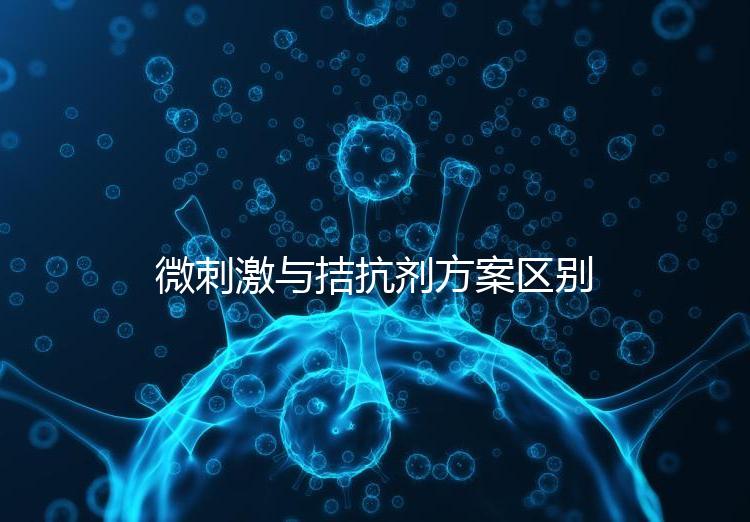 微刺激與拮抗劑方案區別詳解,哪個好良心點評