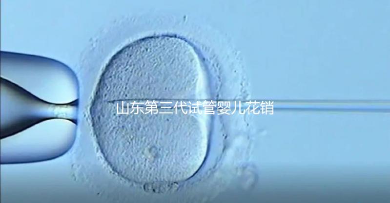 山東第三代試管嬰兒花銷全解析:詳細(xì)價(jià)格一覽,輕松做好預(yù)算準(zhǔn)備