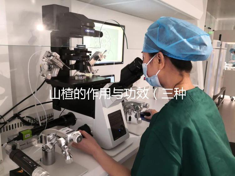 山楂的作用與功效（三種人不宜喝山楂水）