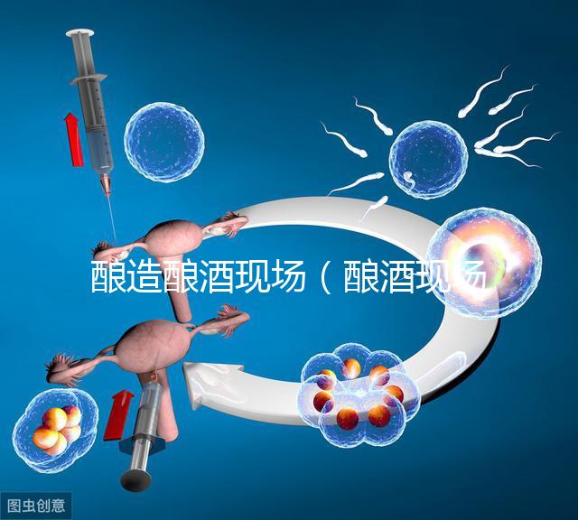 釀造釀酒現場（釀酒現場圖片）