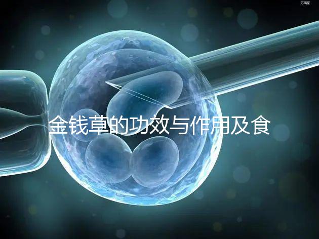 金錢草的功效與作用及食用方法（金錢草泡水喝的功效）