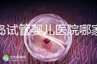 青島試管嬰兒醫(yī)院哪家比建議，成功率有多少？