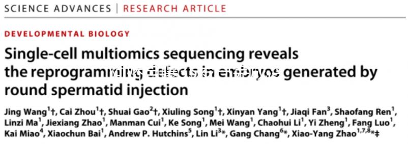 阿嬌自曝35歲已完成冷凍卵子，為何明星都選擇凍卵？