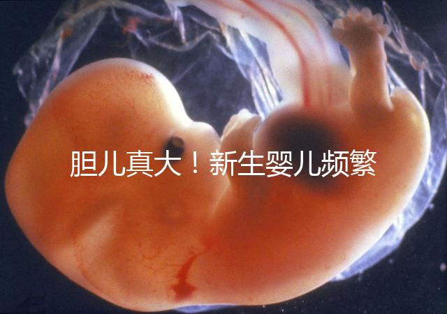 膽兒真大！新生嬰兒頻繁打嗝不要游泳以免嗆水