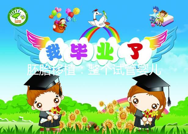 胚胎移植:整個試管嬰兒過程簡單又虐心的一步!