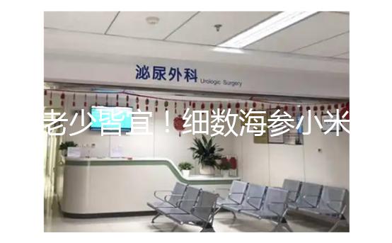 老少皆宜!細(xì)數(shù)海參小米粥常見的6大功效