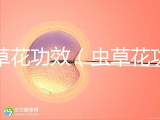 蟲草花功效（蟲草花功效作用與主治功能）