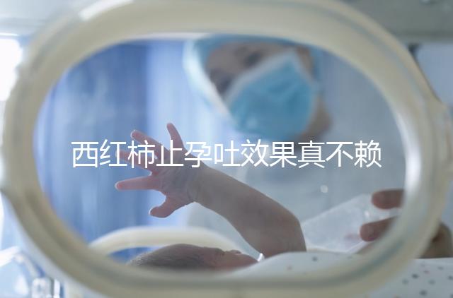 西紅柿止孕吐效果真不賴，選小的生吃或加雞蛋打湯都行