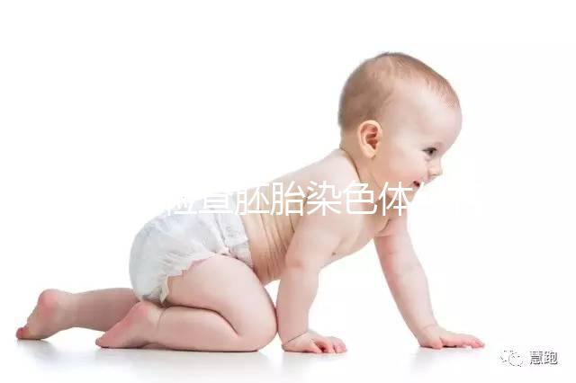 西安檢查胚胎染色體價格不一，提前了解地點更方便