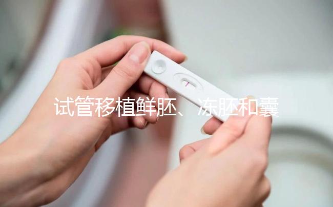 試管移植鮮胚、凍胚和囊胚哪個好？