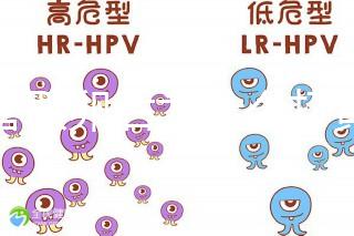 試管取卵后為什么打黃體酮？3大作用的目的都殊途同歸