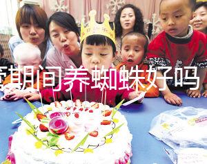 試管期間養蜘蛛好嗎?人們告訴你,這些影響應該早知道