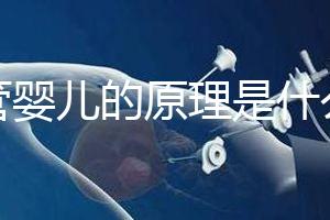 試管嬰兒的原理是什么?