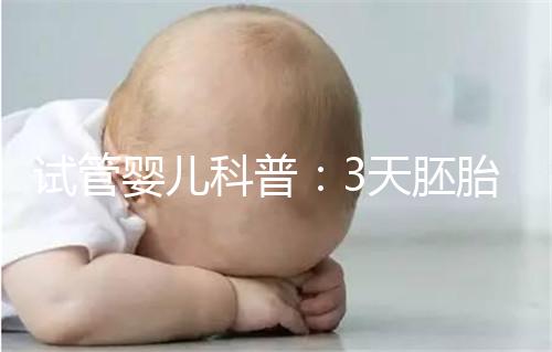 試管嬰兒科普:3天胚胎和5天囊胚,哪個移植成功率更高