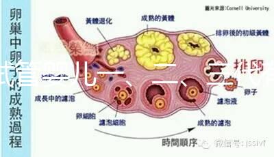 試管嬰兒一、二、三代有什么區別