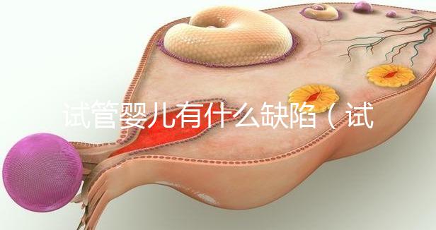 試管嬰兒有什么缺陷（試管嬰兒有什么缺陷和風險）