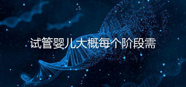 試管嬰兒大概每個(gè)階段需要花到多少錢呢?