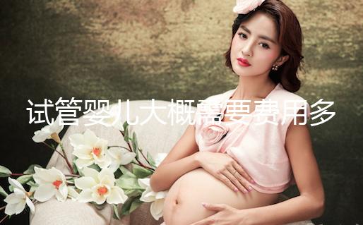 試管嬰兒大概需要費用多少？怎么確定花多少錢？
