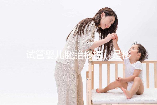 試管嬰兒胚胎移植，是移植第3天胚胎好還是囊胚好？