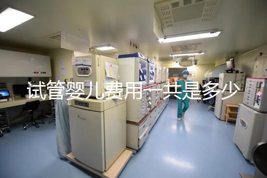 試管嬰兒費(fèi)用一共是多少（試管嬰兒費(fèi)用一共是多少錢(qián)）