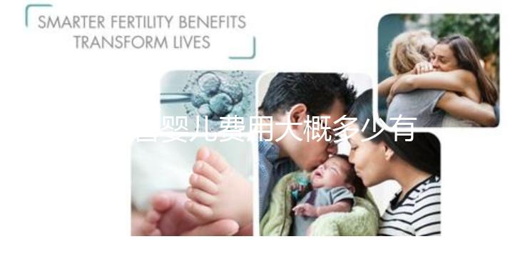 試管嬰兒費用大概多少有清單嗎(試管嬰兒費用明細表)