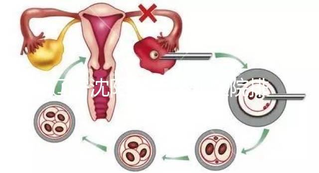 遼寧沈陽試管嬰兒醫(yī)院排名匯總新鮮出爐：這14家值得一看！