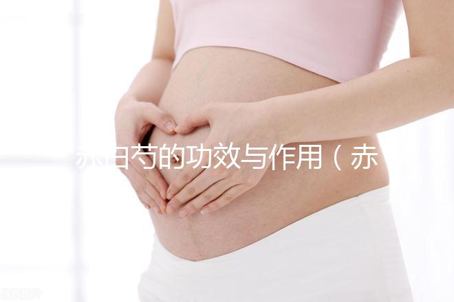 赤白芍的功效與作用（赤白芍的功效與作用的功能與主治）
