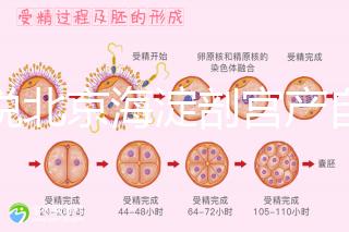 誰說北京海淀剖宮產(chǎn)自付費(fèi)用高，了解2024年生育保險(xiǎn)報(bào)銷比例？